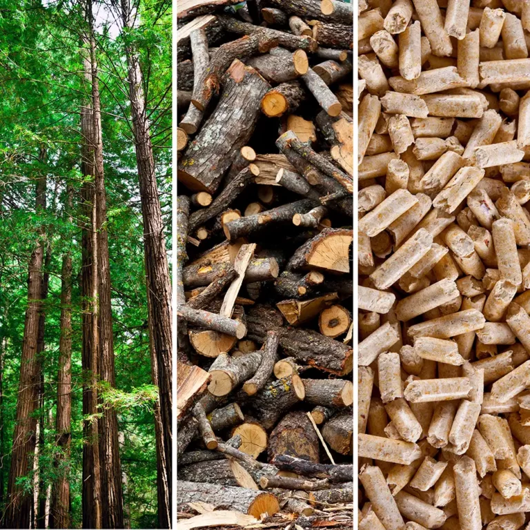 Wood Pellet Process