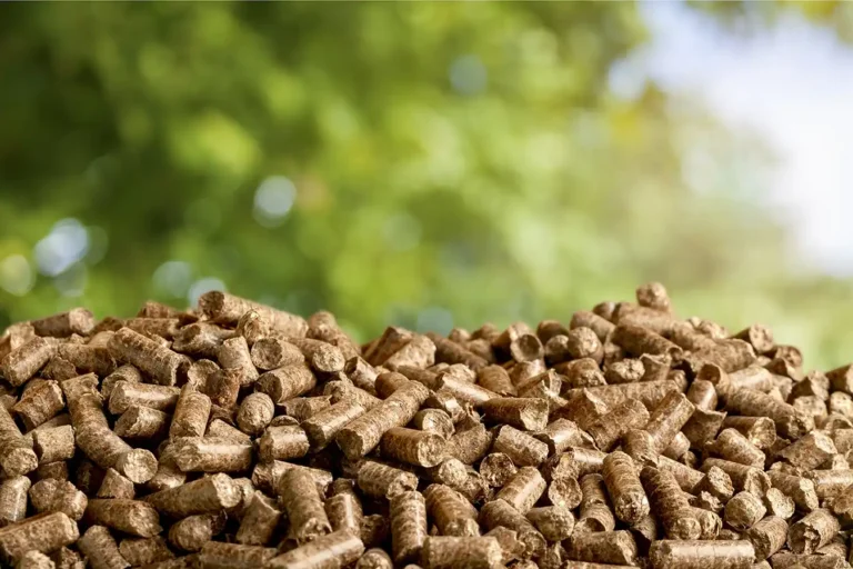 pile of softwood pellets with a natural forest background